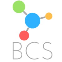 Business Care Solutions logo - Similar company to Vibrant Software, Llc