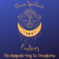 DivineSpectrum Coaching logo - Similar company to M2Lab Bv