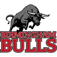 Birmingham Bulls American Football Club