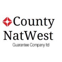 Countynatwest.eu logo - Similar company to Dallinger & Partners