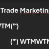 WTM world trade marketing WTM (TM) logo - Similar company to Bertera Nissan