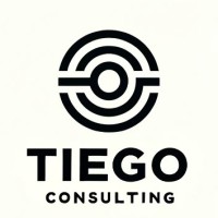Tiego Consulting SRL logo - Similar company to Untangle