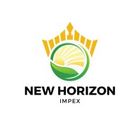 NEW HORIZON IMPEX (PVT) LIMITED logo - Similar company to Beyond
