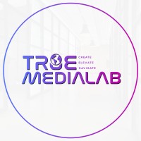 True Media Lab Pvt. Ltd. logo - Similar company to Valab