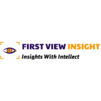 FirstView Insight logo - Similar company to Bizzbuild Consulting