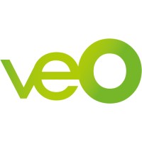 VEO logo - Similar company to Teamnet