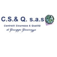 C.S.&Q. sas logo - Similar company to Fox & Patton Co.K. Srl