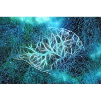 NeuroCoaching mutatheo logo - Similar company to Coaching Just It