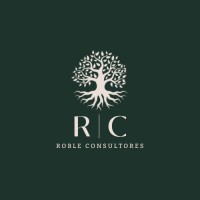 ROBLE CONSULTORES logo - Similar company to Rigroup Consulting