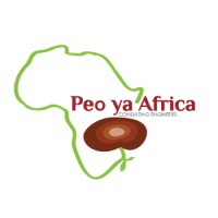 Peo Ya Africa Consulting Engineering (Pty) Ltd logo - Similar company to Es Engineering Consultant