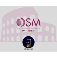 OSM PARTNER ROMA - 101 CONSULTING logo - Similar company to Osm Partner Vda Infinity