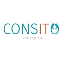 Consito logo - Similar company to Het Nieuwe Web