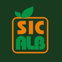 Sica e Albanese logo - Similar company to + Business