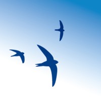 Sky Blue Wealth Management Ltd logo - Similar company to Deep Blue Sky