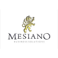Mesiano Consulting logo - Similar company to Gabitec
