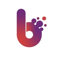 Blinx Solutions logo - Similar company to Carnelian Stone Media Limited