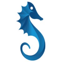 Seahorse Amphibious Vehicles logo - Similar company to Dexet Technologies