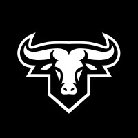 Touro FIlmes logo - Similar company to Alume Filmes