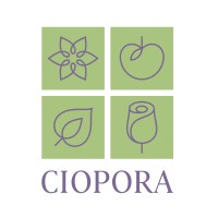 CIOPORA logo - Similar company to Medplus-Kompetenz