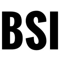 Burke Systems Inc logo - Similar company to Intelligentx - An Aiq Solution