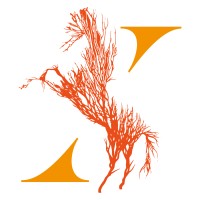 Xanadu Luxury Group logo - Similar company to Veblen