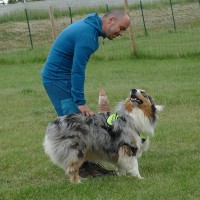 C'est Plus Canin & Cie logo - Similar company to Ceephao