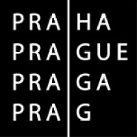 Prague City Diplomacy logo - Similar company to Another Art Factory