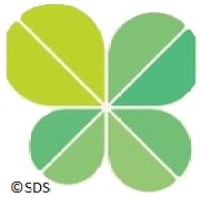 SDS Consulting logo - Similar company to Pataaka