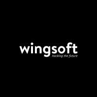 Wingsoft logo - Similar company to Tecnomundo