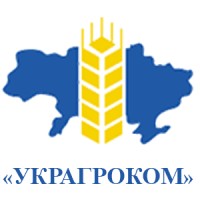 LLC 