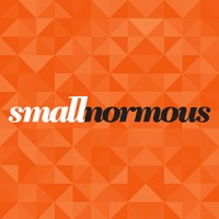 smallnormous LLC logo - Similar company to Beyondcurious