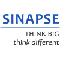 Singapore Institute For Neurotechnology (Sinapse)