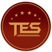 Team Elite Six logo - Similar company to Ufc Food System
