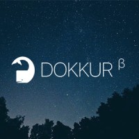 Dokkur