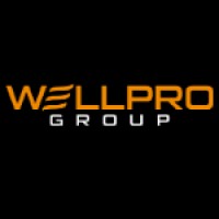 Wellpro Group logo - Similar company to Interwell