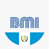 BMI Seguros Guatemala logo - Similar company to Mediprocesos