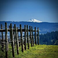 Cellar Door Wine Tours