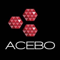 Acebo logo - Similar company to Creative Data