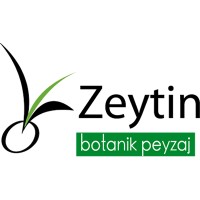 Zeytin Botanik Peyzaj İnşaat San. ve Tic. Ltd. Şti. logo - Similar company to Cem Botanik