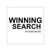 WINNING SEARCH logo - Similar company to Pro Evolutions