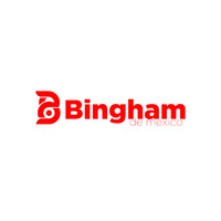 BINGHAM DE MÉXICO logo - Similar company to Valtrah