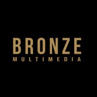 Bronze Multimedia logo - Similar company to Effective Solutions
