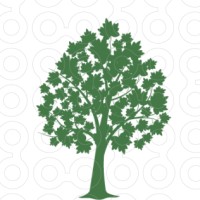 Maple Tree Capital Services, LLC logo - Similar company to Maple Tree Capital