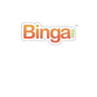Binga | Payment Solutions for the 21st Century logo - Similar company to Lesinfos.Ma