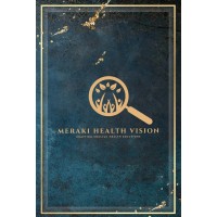 Meraki Health Vision logo - Similar company to Thyright Innovations