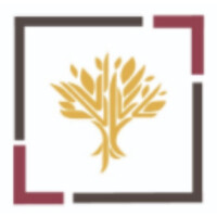 Marcológico logo - Similar company to Sin Parámetros