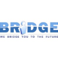 Bridge Consulting Est.