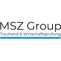 MSZ Group AG Zug logo - Similar company to Rtg Steuerberatung Und Wirtschaftsprüfung