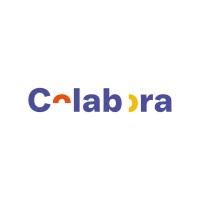 Colabora Inclusión logo - Similar company to Lab De Sonrisas