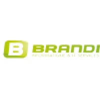 Brandi IT Services logo - Similar company to Ecole Des Arches Sa